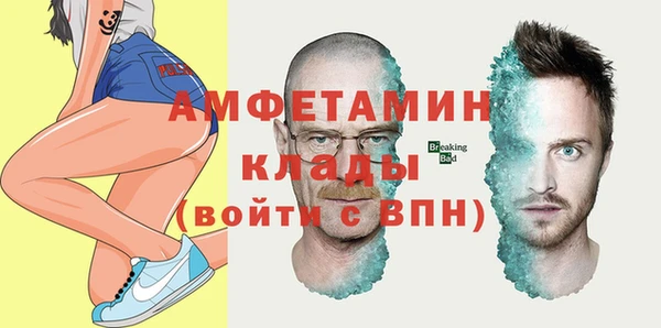 стаф Алексин